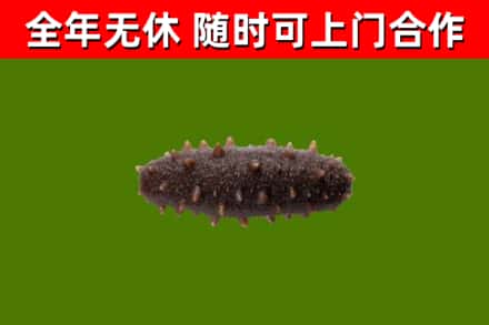 梅里斯烟酒回收干海参.jpg